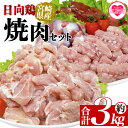 【ふるさと納税】＜宮崎県産日向鶏 焼肉セット 約3kg＞ 国産 鶏 肉 精肉 とりにく もも モモ肉 せせり セセリ 肝 レバー 砂肝 すなぎも きも 小肉 焼き鳥 焼き肉 BBQ 使いやすい 小分け パック 真空冷凍 お弁当 惣菜 蒸し鶏 数量限定 さっぱり 【MI454-tr】【TRINITY】