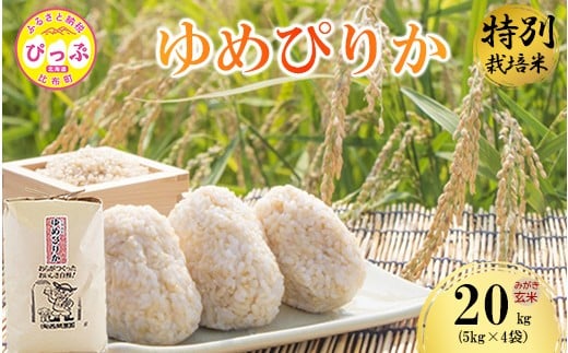 
                  令和7年産 特別栽培米 ゆめぴりか みがき玄米 20kg（5kg×4）【西間農園】玄米 お米 米 北海道産 北海道米 特Aランク 国産 コメ JGAP認証農場 北海道 比布町 ぴっぷ 1005-053
                