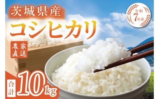 
                  【数量限定】【家計応援】令和7年産  農家直送 コシヒカリ 10kg【食味ランキング特A評価 米 こしひかり ごはん おにぎり 水戸市 水戸 茨城県 】(KV-6)
                