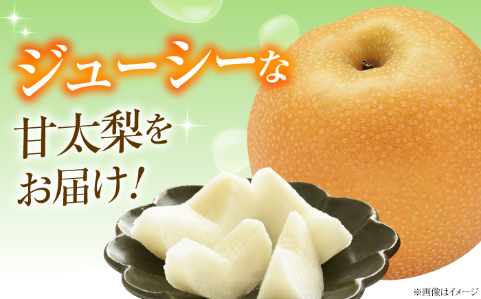 【先行予約】稲田ペアファームの甘太梨 （かんたなし） 4〜6玉 〈2026年9月〜発送〉 ／ フルーツ 果物 くだもの 食品 人気 おすすめ 梨 なし 甘太梨 かんたなし 和梨 甘い 【株式会社内子フ