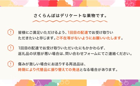 さくらんぼ 佐藤錦 秀品 L玉 500g バラ詰 ご家庭用 2024年産 令和6年産 山形県産 mm-snbax500 ※沖縄・離島への配送不可