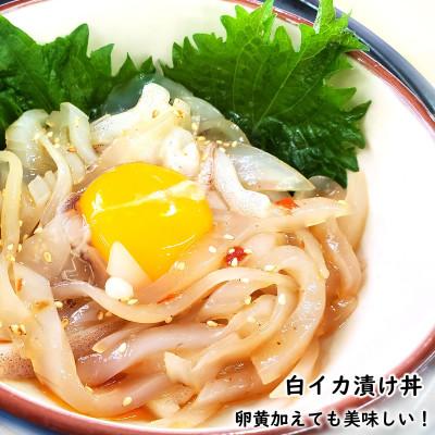 ふるさと納税 新温泉町 【兵庫県新温泉町】魚屋自家製「山陰の海鮮漬け丼10食」セット　天然魚使用　添加物未使用　海鮮丼 |  | 02