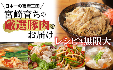【期間限定】宮崎県産豚肉切り落とし合計4.5kg（冷凍500g×9パック）