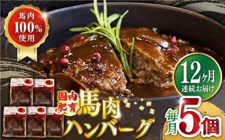 【全12回定期便】国内肥育 冷凍 馬肉ハンバーグ 計1kg ( 200g × 5個 ) デミグラスソース入り 小分け 個包装 惣菜 湯煎 熊本【有限会社 丸重ミート】[YAK051]