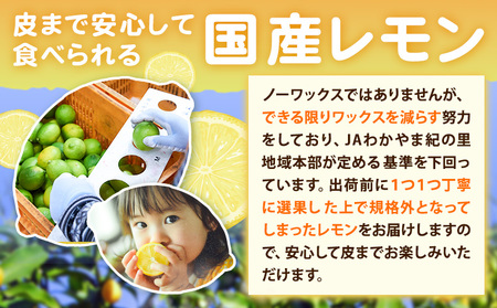 訳あり 国産レモン 約2kg 《10月上旬-1月下旬頃出荷》ﾚﾓﾝﾚﾓﾝﾚﾓﾝﾚﾓﾝ