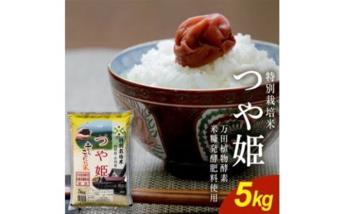 令和7年産【精米】特別栽培米 つや姫(万田植物酵素・米糠醗酵肥料使用)　5kg×1袋 《農産物検査員おすすめの庄内米》 SY SB0822