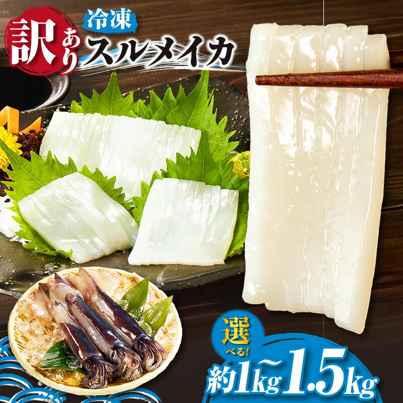 【ふるさと納税】スルメイカ 量たっぷり サイズ不揃い【選べる量 たっぷり約1kg・もっとたっぷり約1.5kg】 高鮮度3D凍結 するめいか いか イカ 刺身 おつまみ 料理 バラ凍結 グルメ 鮮魚 グルメ 新鮮 海鮮 兵庫県 香美町 国産 冷凍便 74-17 74-18 送料無料
