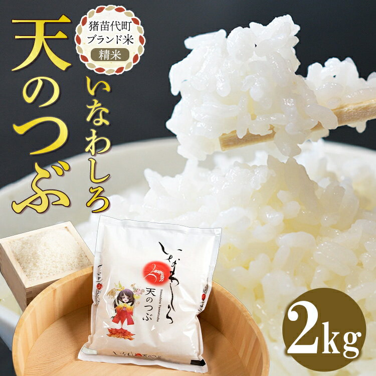【ふるさと納税】＼レビュー投稿でお米プレゼント／猪苗代町ブランド米 いなわしろ天のつぶ( 精米 ) 2kg お米 白米 福島 大粒 寿司 和食　お届け：2025年10月中旬頃まで