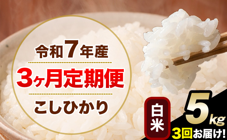 【3ヶ月定期便】令和7年産 定期便 こしひかり 白米 定期便 5kg 精米 熊本県産(南阿蘇村産含む) 単一原料米 南阿蘇村《お申し込みの翌月から出荷》---kh7tei_34500_5kg_mo3_mna_h---