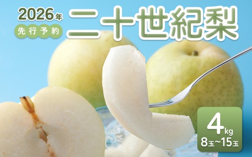 【2026年 先行予約】二十世紀梨 4kg｜鳥取 東光園 梨 2026年収穫後 2026年8月下旬～9月頃順次発送※着日指定不可【41052】
