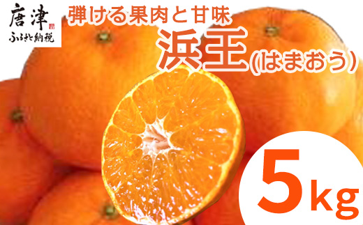『先行予約』【令和9年1月下旬発送】浜王(はまおう) ハウス栽培 唐津産 5kg 口之津(くちのつ) 39号みかん フルーツ 果物 柑橘 かんきつ
