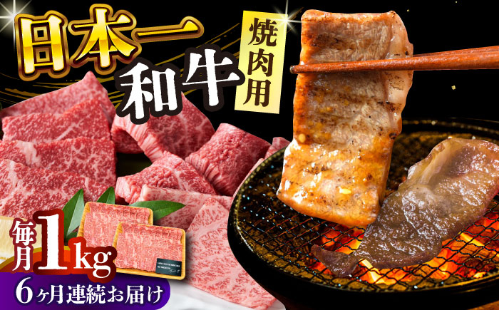 
【全6回定期便】【A4～A5】長崎和牛焼肉用　1kg（500g×2p）【株式会社 MEAT PLUS】 [DBS039]
