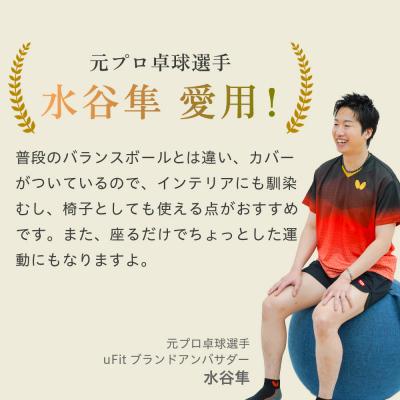 ふるさと納税 渋谷区 uFit Balance Ball　55cm【グレー】 【136005-1】 |  | 01
