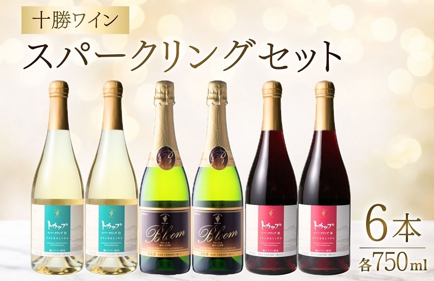 
                  十勝ワイン スパークリング6本セット（3種類）  ブルーム トカップ 北海道ワイン 北海道池田町 食前酒 お祝い パーティー スパークリング 
                