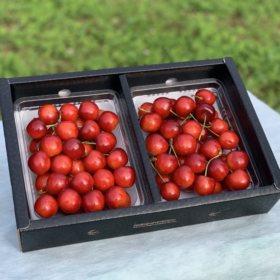 ＜アンスリーファーム＞山形県産 さくらんぼ 紅秀峰 特秀品 バラ詰め 2Lサイズ以上 600g