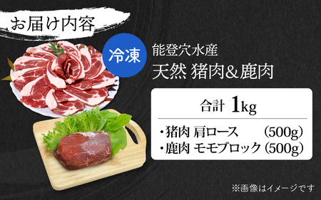 能登・穴水産 天然 猪肩ロース ＆ 鹿モモブロック 各500g 計1kg | ジビエ 冷凍