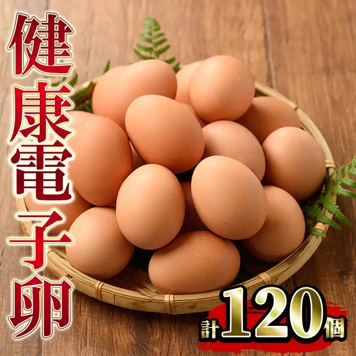 健康電子たまご（鶏卵）12パック 120個入り(内10個 宅配破損時 保証卵付) 【00-095-04】