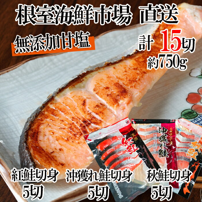 【ふるさと納税】無添加甘塩天然鮭3種セット 各5切×1P(計15切) 各5切×2P(計30切) さけ サケ さかな サカナ 魚 北海道 根室市