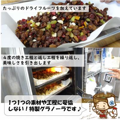 ふるさと納税 あわら市 【毎月定期便】自家製 フルーツグラノーラ 250g×3袋 750g(計4.5kg)全6回 |  | 02