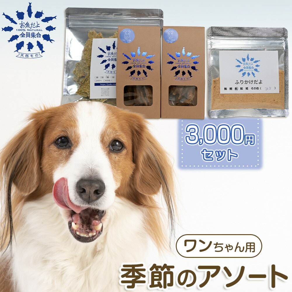 【ふるさと納税】お魚だよ全員集合　季節のアソートセット 3,000円セット　ワンちゃん用 | ペット おやつ 犬 ペットフード 魚 お魚 さかな 食品 人気 おすすめ 送料無料