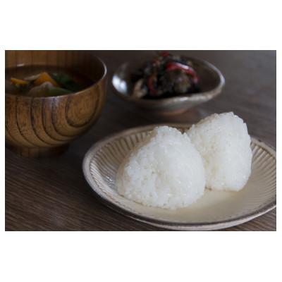 ふるさと納税 あさぎり町 令和8年産　熊本県産ひのひかり(白米)(10キロ) |  | 01