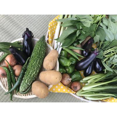 ふるさと納税 潮来市 【発送月固定定期便】『身体が喜ぶ野菜』季節の詰め合わせ(おまかせ10〜12品)全10回 |  | 02