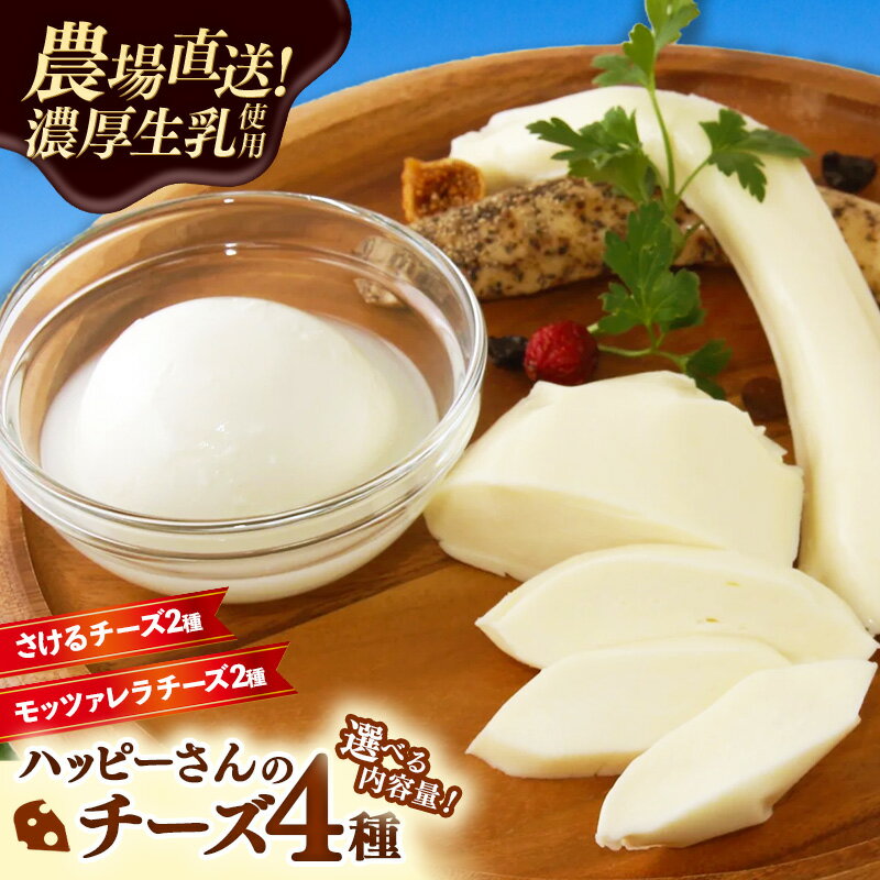 【ふるさと納税】【選べる内容量】ハッピーさんのチーズ4種セット 4個 8個 12個 牛乳 おつまみ ちーず 乳製品 生乳 乳 国産 国産チーズ 食べ比べ セット 詰合せ アソート 家飲み 有塩 無塩 プレーン ブラックペッパー 岩手 岩手県 岩手町 ※沖縄県・離島への配送不可
