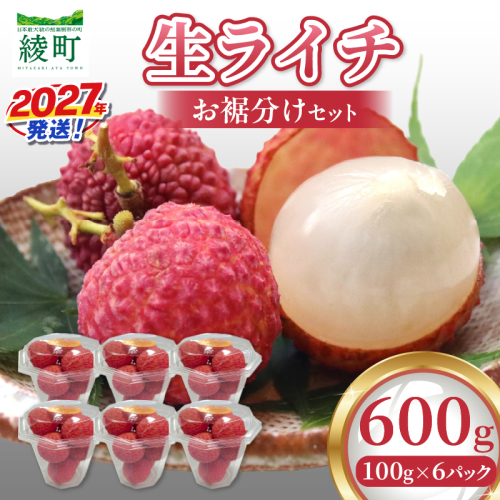 先行予約 数量限定 希少 綾生ライチ お裾分け セット 600g 果物 フルーツ くだもの 国産ライチ 2027年 トロピカルフルーツ 南国フルーツ 冷蔵 ジューシー 高級 デザート ギフト 贈り物 プレゼント ご褒美 おすすめ 宮崎県 送料無料 【JA綾町】_A0114-1052