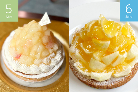 タルト ケーキ スイーツ 食べ比べ 12回 定期便 総計 タルト 11ホール キャラメルブリュレ 6個 [心優-Cotoyu Sweets- 長崎県 平戸市 hr42bgy420467]