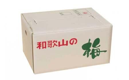 【梅干・梅酒用】（LまたはM－2Kg）熟南高梅＜2025年6月上旬～7月上旬ごろに順次発送予定＞【art012A】