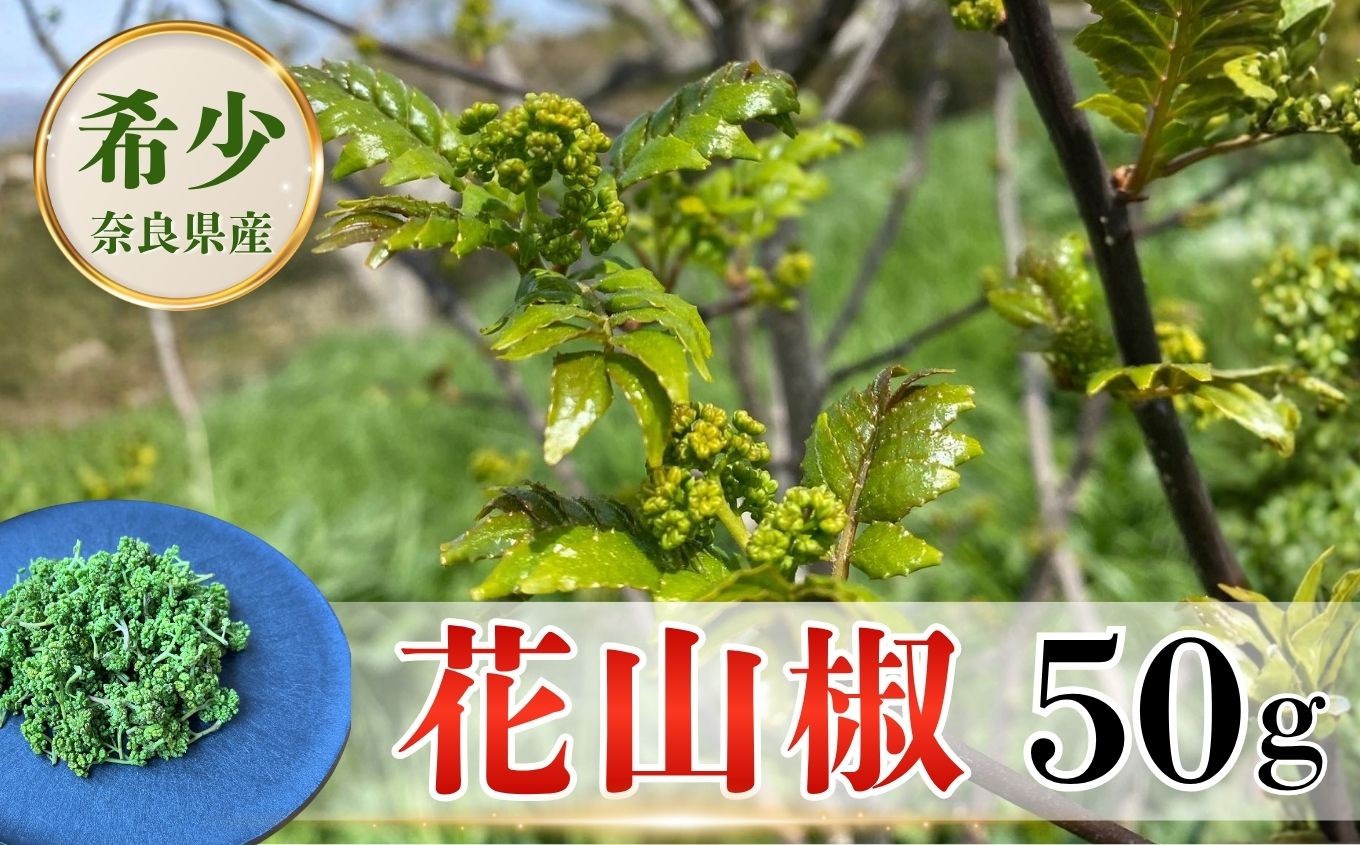
                  希少 花山椒 50g | 先行予約 2027年 発送 花山椒 山椒 さんしょう 希少 胡椒 料理 調味料 スパイス | 奈良県 五條市
                