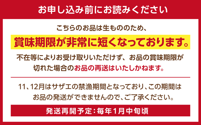 【10回定期便】天然活サザエ 18kg（約1.8kg×10回）【株式会社ひらど新鮮市場】[KAB164]/ 長崎 平戸 魚介類 天然 サザエ 定期便