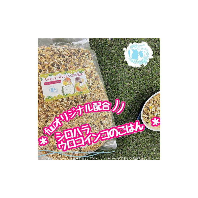 【3ヶ月定期便】fuu シロハラインコ・ウロコインコのごはん（800g）［145S57-T］【3ヶ月定期便】fuu シロハラインコ・ウロコインコのごはん インコ 小鳥 エサ ペット用品 複数種 シード