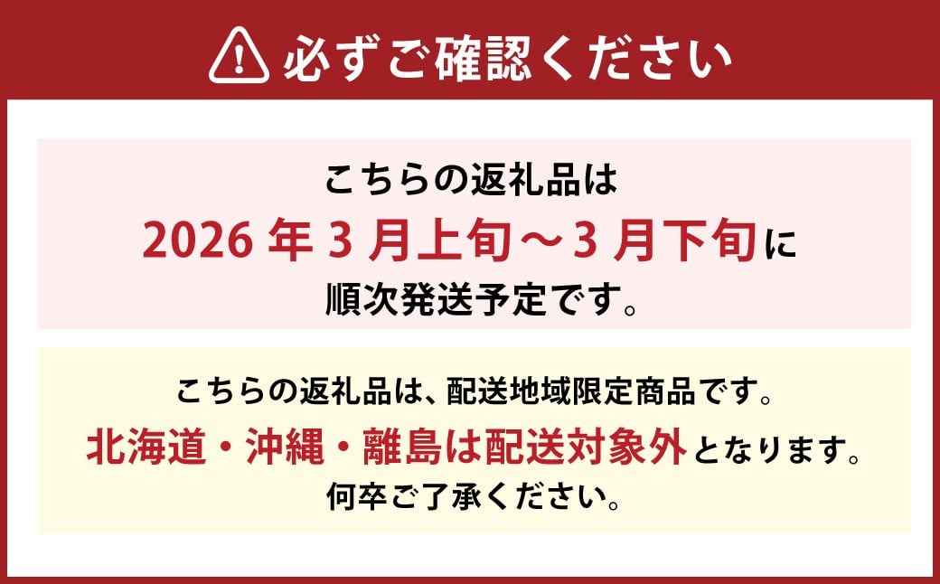 アンコールオレンジ 3L～L 約4kg 柑橘 みかん 愛媛【2025年3月発送予定】（724）