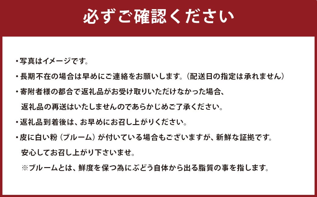 数量限定 有核 巨峰 約300g×4パック 計約1.2kg 【2025年6月下旬～8月上旬発送予定】 ぶどう ブドウ 果物 フルーツ 福岡県産