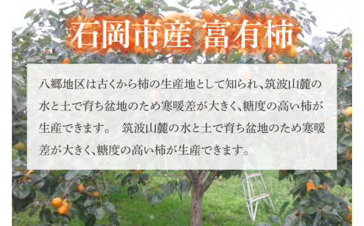【2026年10月下旬より順次発送】【数量限定】富有柿 L 16玉【茨城県共通返礼品/石岡市】【水戸市 茨城県 カキ 柿 フルーツ 果物 くだもの 富有柿 ジューシー 甘い】（IU-9）