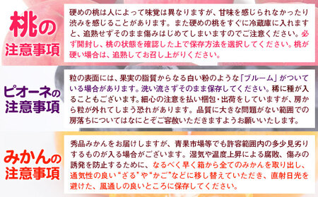 人気フルーツ全3回（7月・9月・11月）定期便 厳選館《7月上旬-11月末頃出荷》日高川町 果物 フルーツ 和歌山の 桃 種なし ピオーネ 有田 みかん 送料無料【配送不可地域あり】