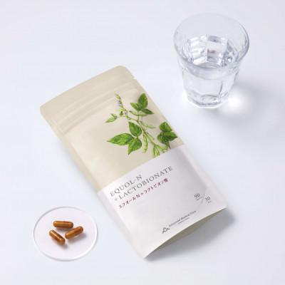 ふるさと納税 岐南町 更年世代の女性をサポートする エクオールN+ラクトビオン酸 |  | 03