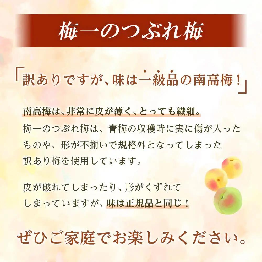 紀州南高梅 《つぶれ梅セット》 しそ漬け梅 塩分8％ 900g (300g×3）