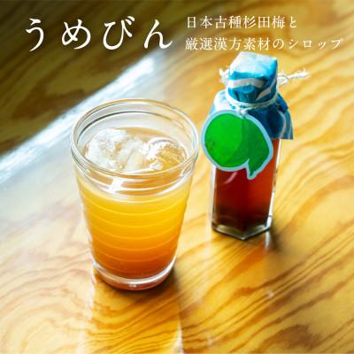 ふるさと納税 小田原市 濃厚梅エキスと漢方のシロップ「うめびん(杉田梅) by Kampo Kitchen」