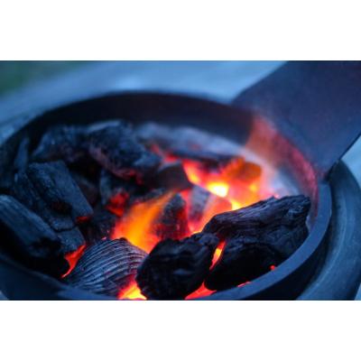 ふるさと納税 府中市 森のしずく 珈琲(原生林で自生した原種の野生豆) 500g×1袋 |  | 02