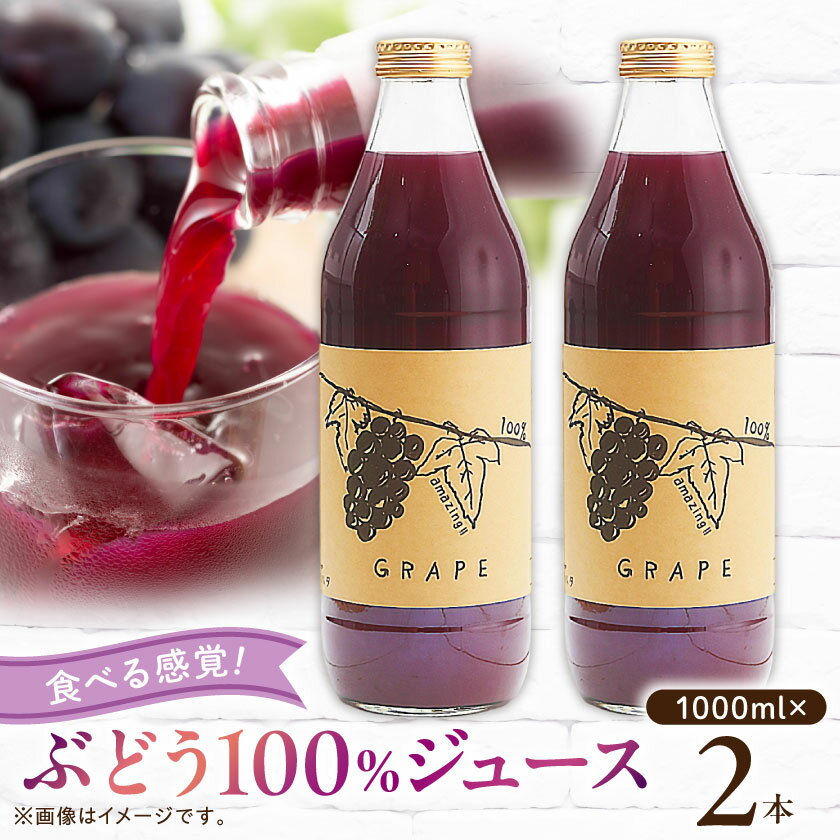 【ふるさと納税】【2026年発送】ぶどうジュース 1000ml 2本 食べる感覚【無添加・無糖】100%ストレート【配送不可地域：離島】【1210537】