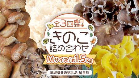 《 全３回 隔月定期便 》 きのこ の 詰め合わせ Mサイズ 約1.5kg （茨城県共通返礼品 城里町） 定期便 キノコ 舞茸 あわび茸 たもぎ茸 しいたけ 花びら茸 セット 鍋 炒め物 [CX009sa]