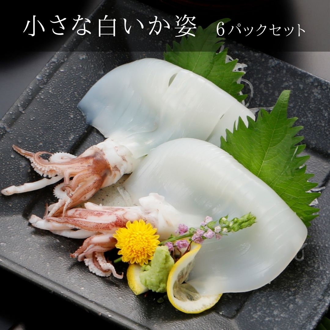【小さな白いか姿】高級白イカ６パックセット おうちで白いかの姿造り