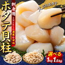 刺身用ホタテ貝柱 1.5kg