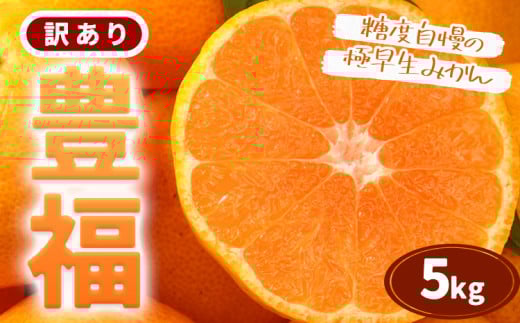 訳あり 極早生みかん 「 豊福 」5kg 箱入り 都呂々みかん生産者グループ《10月中旬-11月下旬頃出荷》 フルーツ 果物 くだもの 柑橘 みかん ミカン 蜜柑 熊本県 苓北町【配送不可地域あり】
