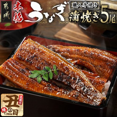 【丑の日】職人手焼きの本格うなぎ蒲焼き5尾≪7月20日～25日お届け≫_32-33-003-5-UG