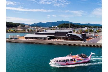 (1535)青海島観光汽船乗船券2名様分と宴会用ふぐ刺身4人前×2皿・唐揚付（冷凍）