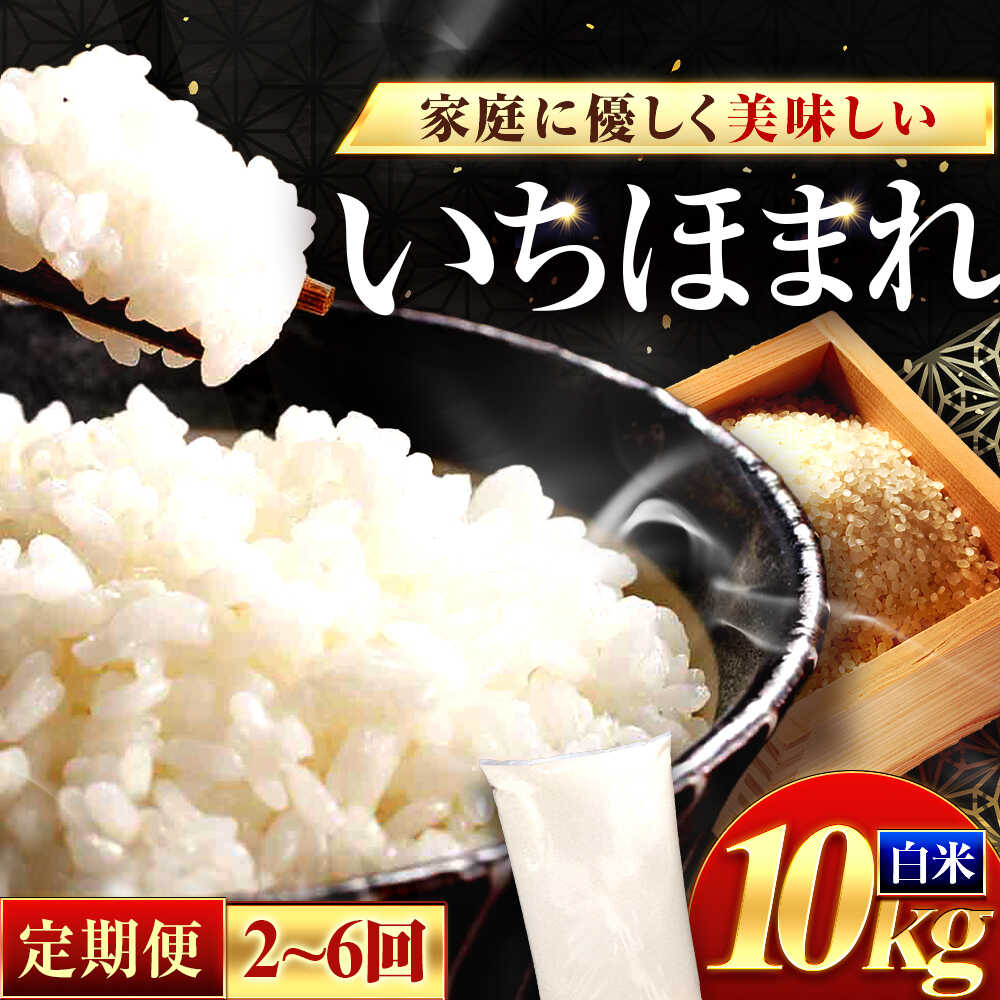 【ふるさと納税】【選べる定期便回数】福井県産 いちほまれ 精米 10kg 県産ブランド米 / コメ 白米 新米 米 小浜市 / 梅田東米穀店[BFEK032]