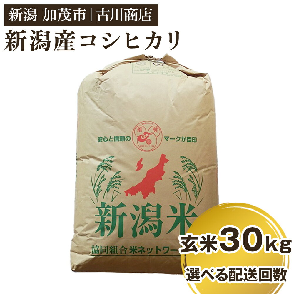 【ふるさと納税】【令和6年産米】 新潟県加茂市産コシヒカリ 玄米30kg 一等米 【選べる配送回数（通常配送1回〜定期便12回）】 お米の専門店 古川商店